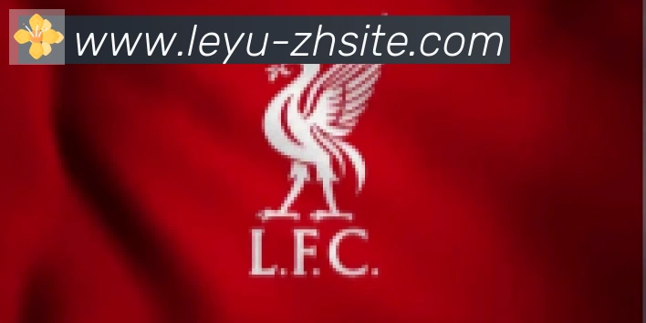 乐鱼leyu合作伙伴