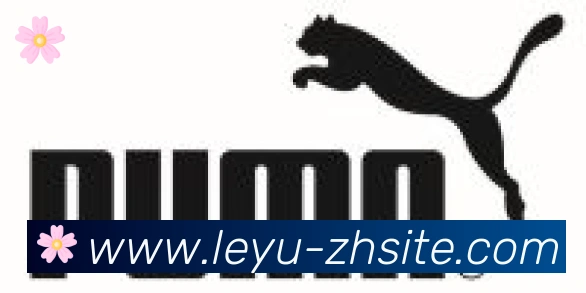 乐鱼leyu合作伙伴